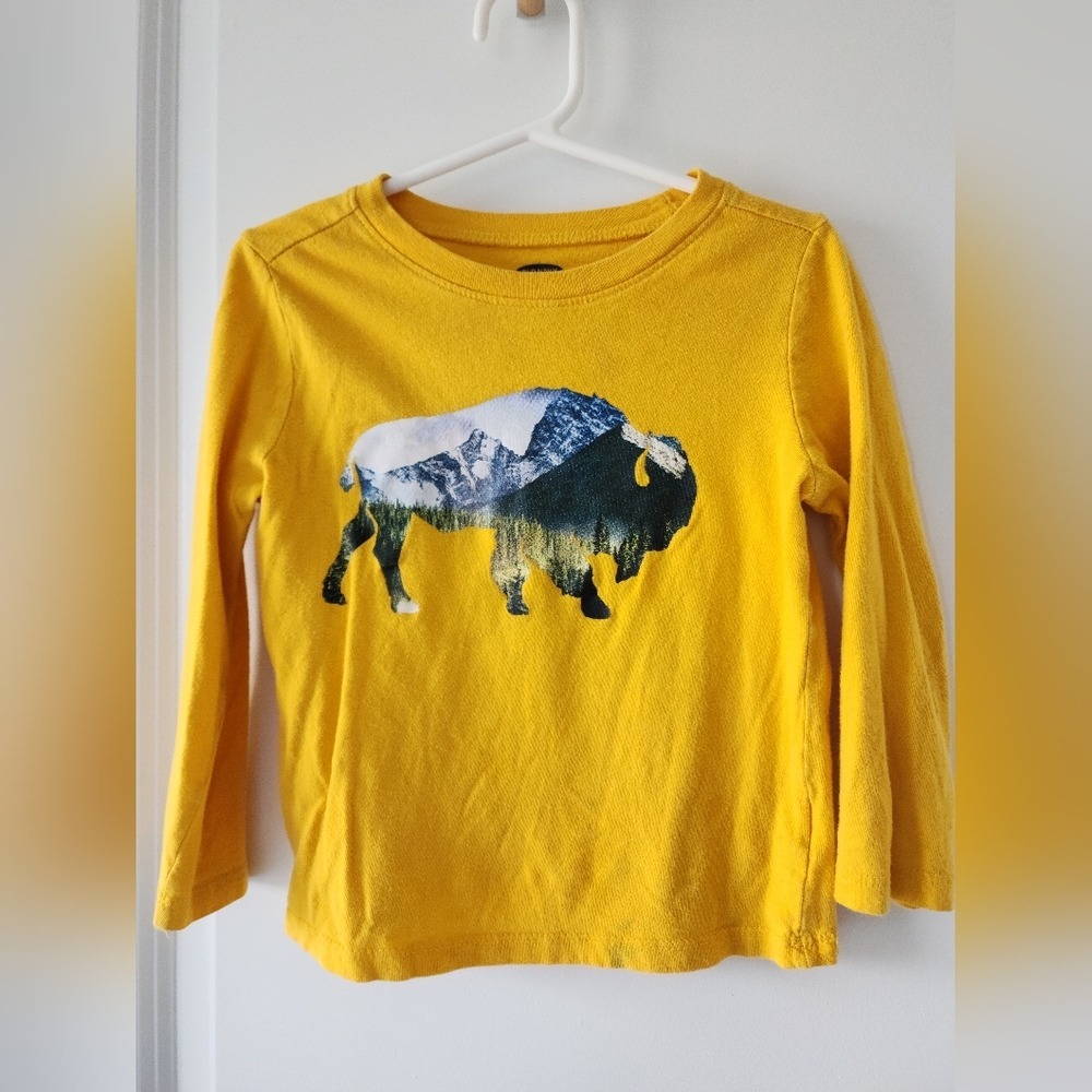 Kid's 3t Old Navy Graphic‎ T-Shirt Buffalo Landscape Print Long Sleeve Top Fall